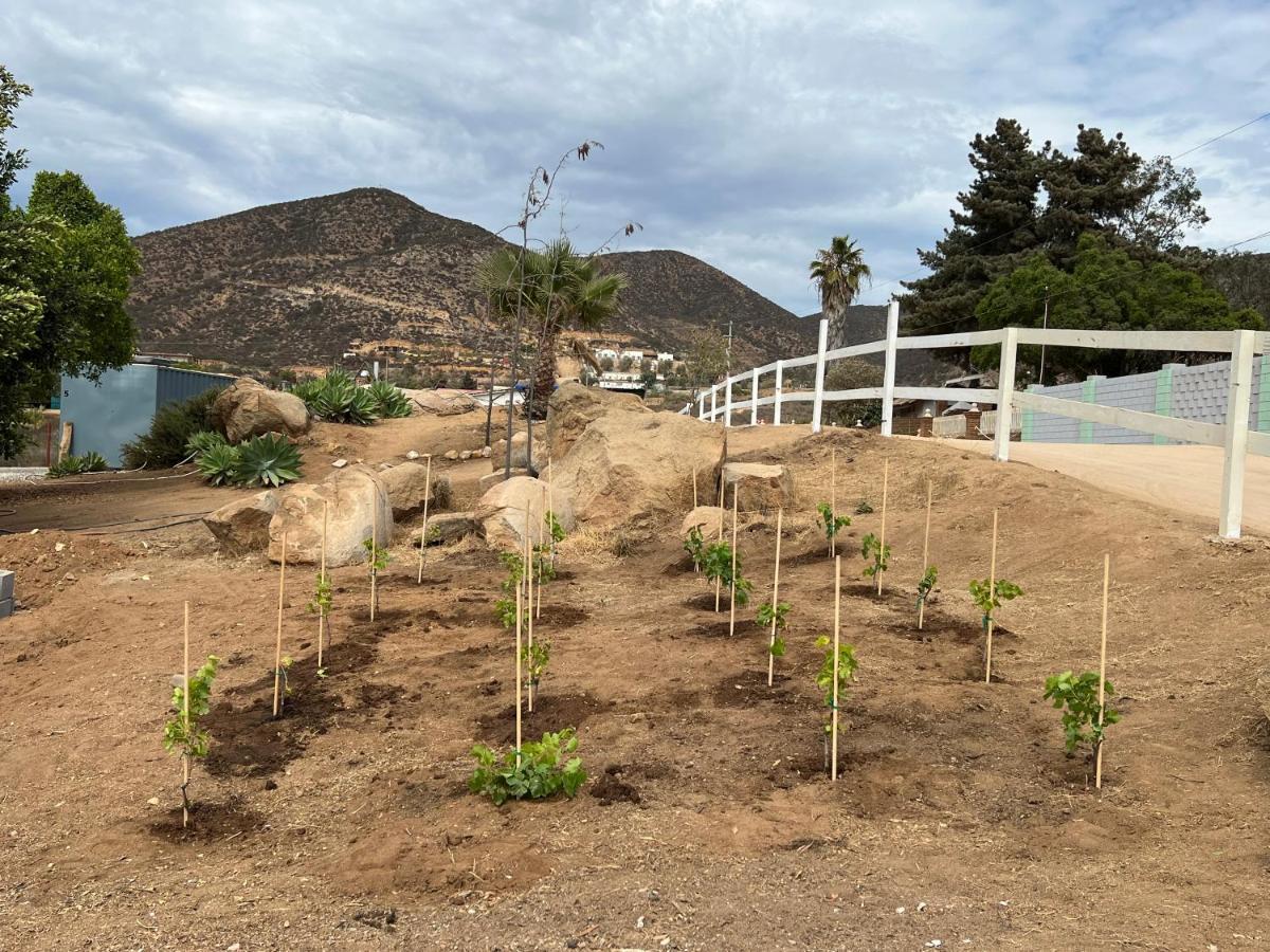 Ecovino Valle De Guadalupe Ngoại thất bức ảnh