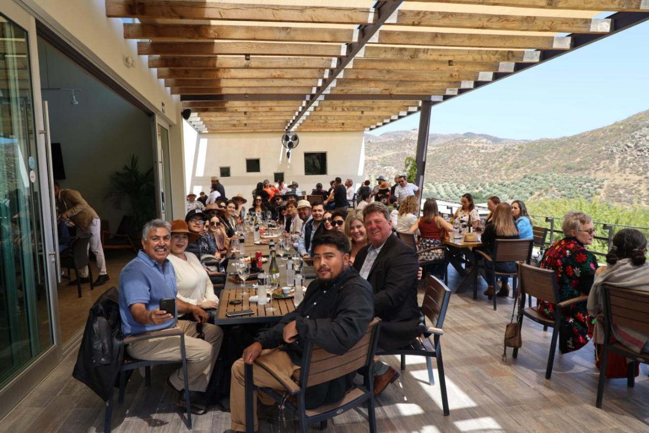 Ecovino Valle De Guadalupe Ngoại thất bức ảnh