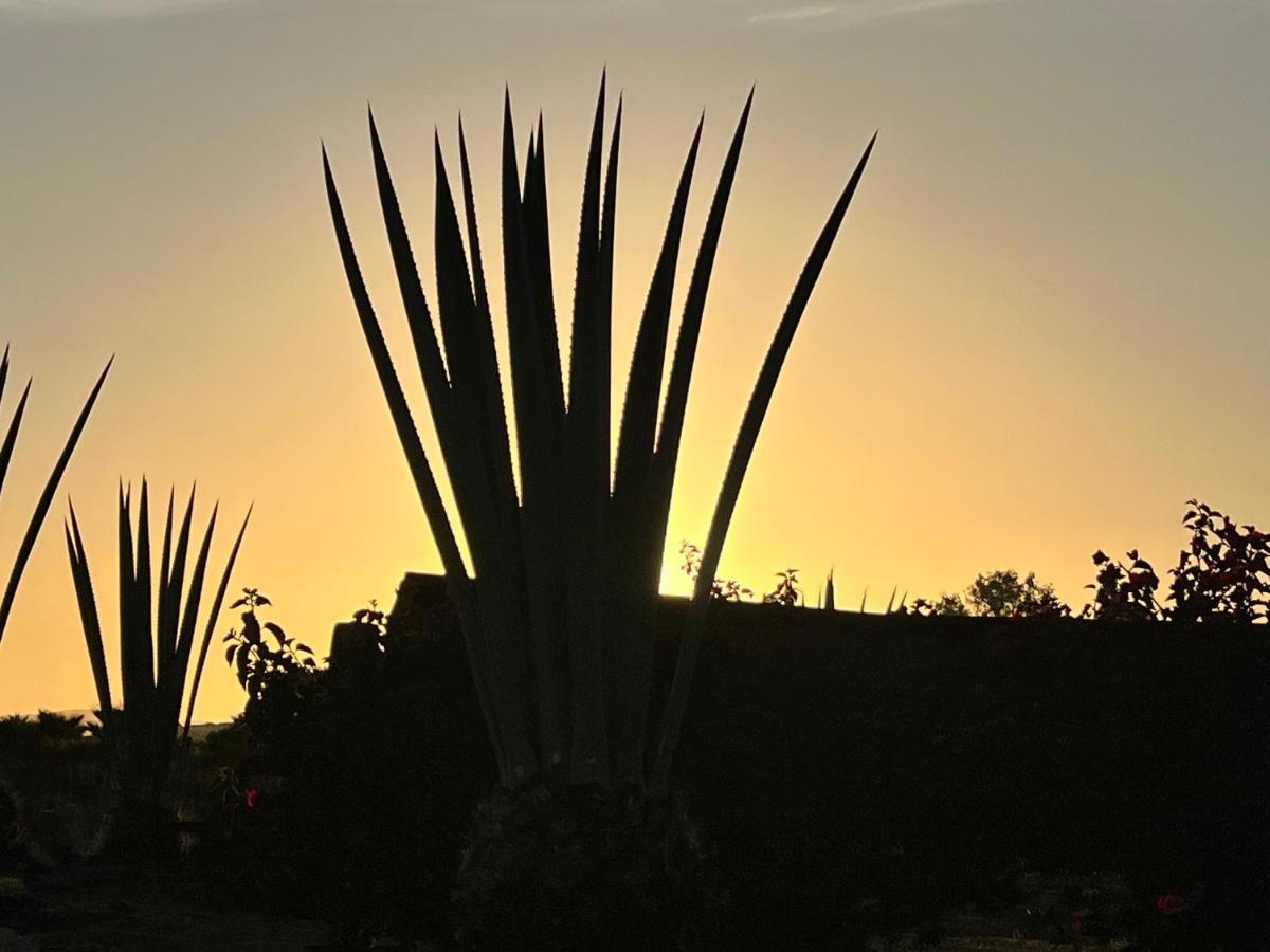 Ecovino Valle De Guadalupe Ngoại thất bức ảnh